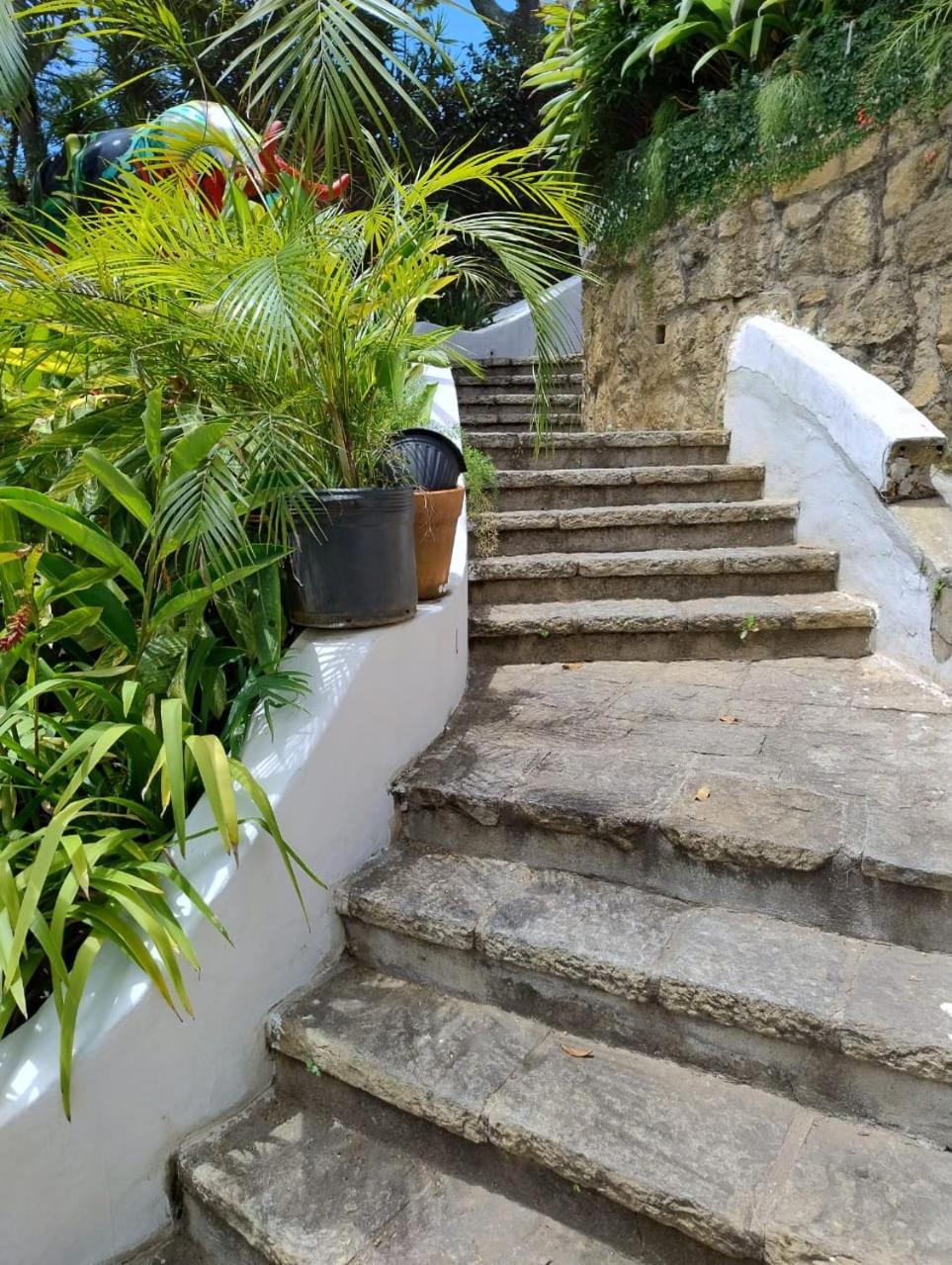 Raro Ipanema Boutique Hotel ريو دي جانيرو المظهر الخارجي الصورة